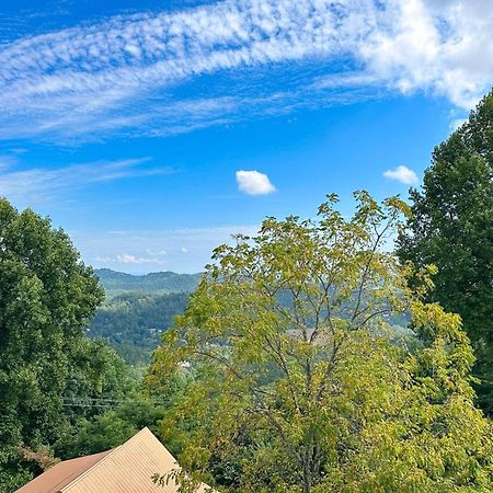 פיג'ן פורג' Little Black Bear Retreat מראה חיצוני תמונה