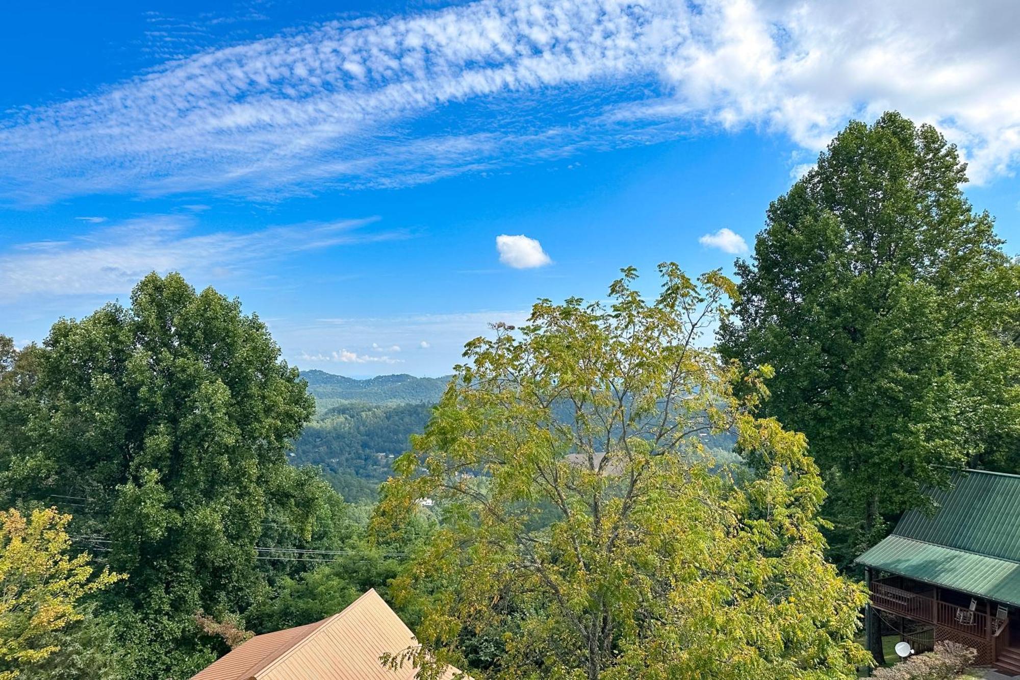 פיג'ן פורג' Little Black Bear Retreat מראה חיצוני תמונה